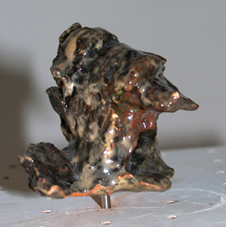 T�te de con d�capit�e et momifi�e.